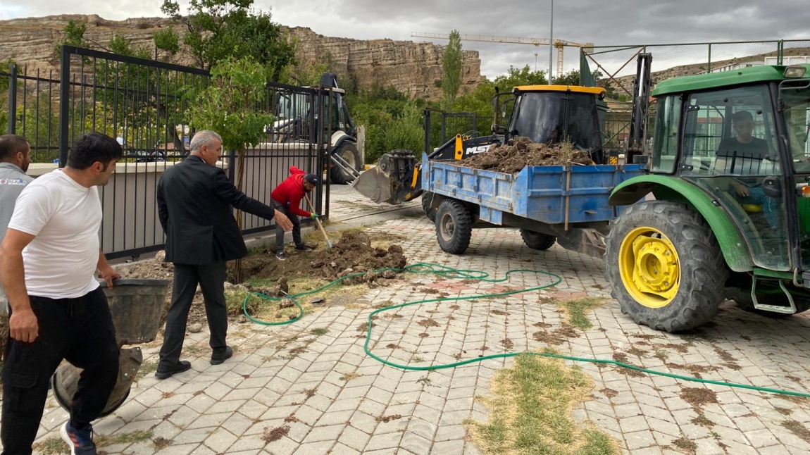 YEŞİL VATAN 